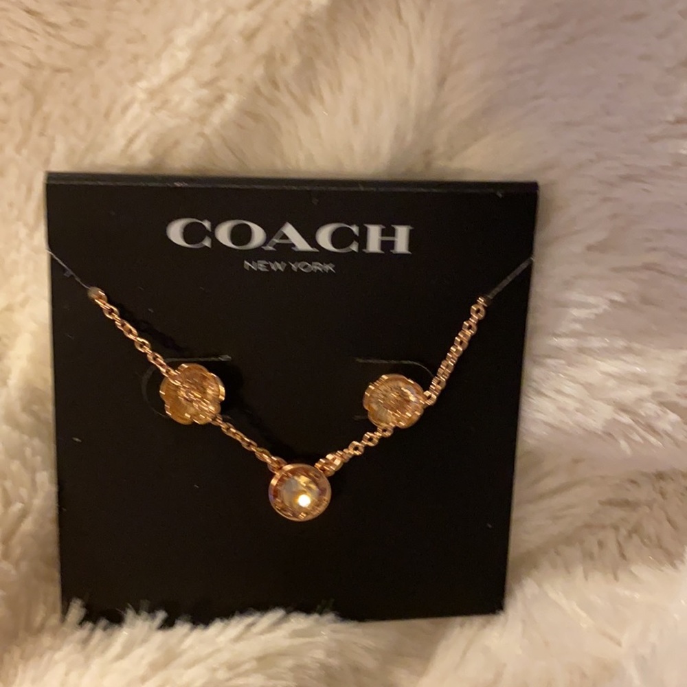Brand new. Coach 1 necklace and 1 pair of earrings